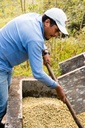 Honduras Marcala 1kg