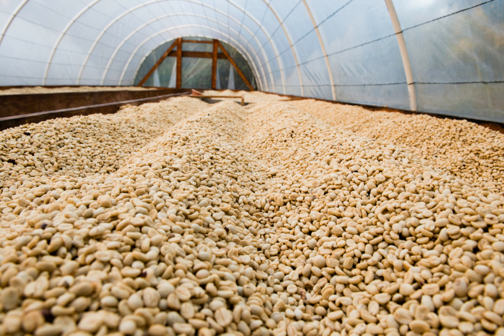 Honduras Marcala 1kg