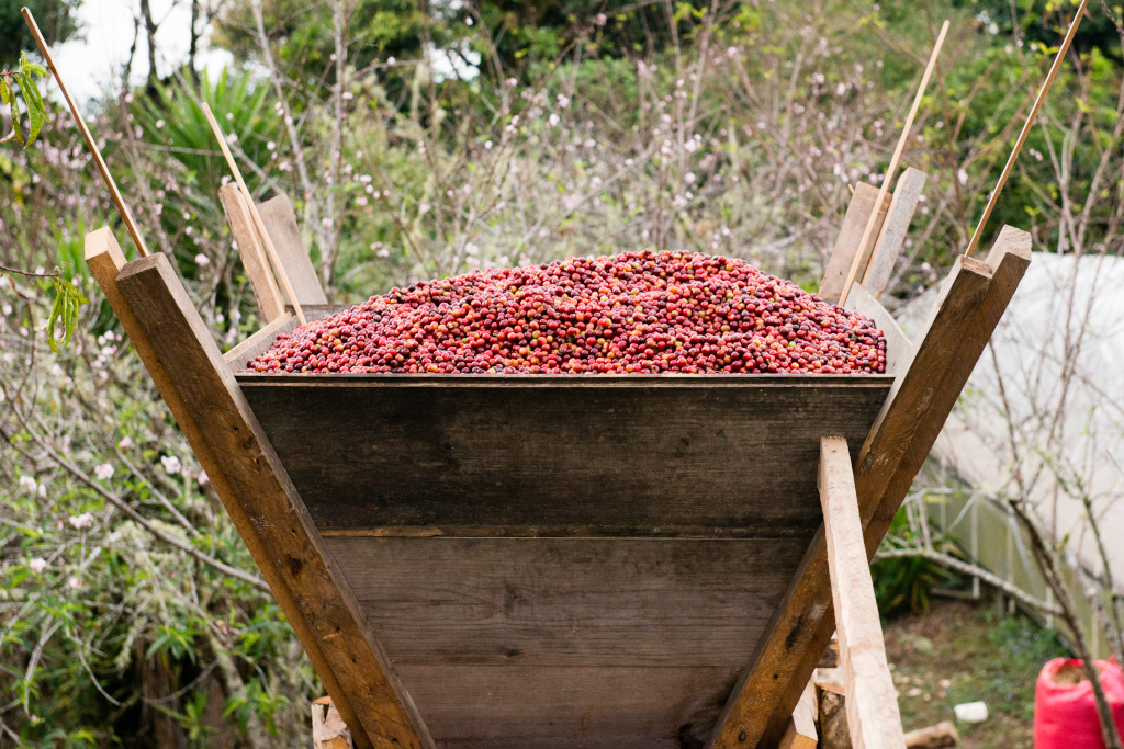 Honduras Marcala 1kg