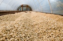 Honduras Marcala 250g