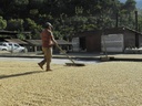 Guatemala Huehuetenango 1kg