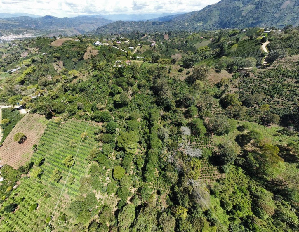 Colombia Finca El Higueron 1kg
