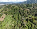 Colombia Finca El Higueron 1kg