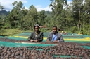 Ethiopië Nensebo 1kg