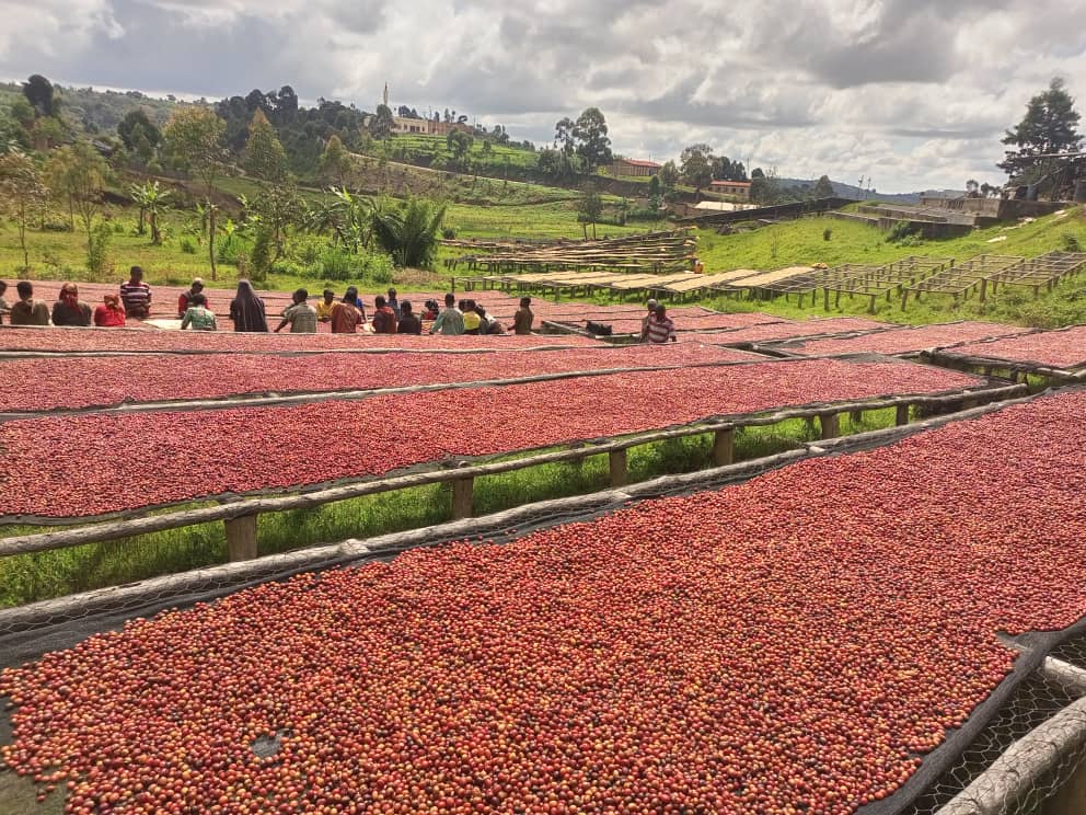 Burundi Munkaze 1kg