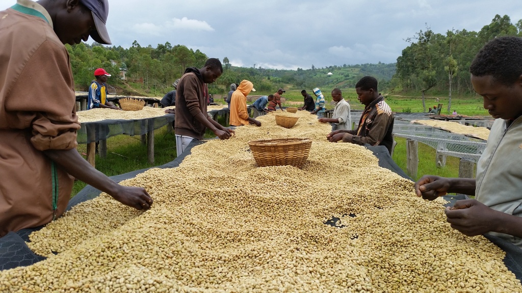 Burundi Munkaze 1kg