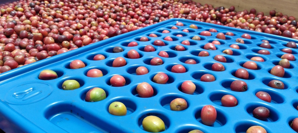 Burundi Munkaze 250g