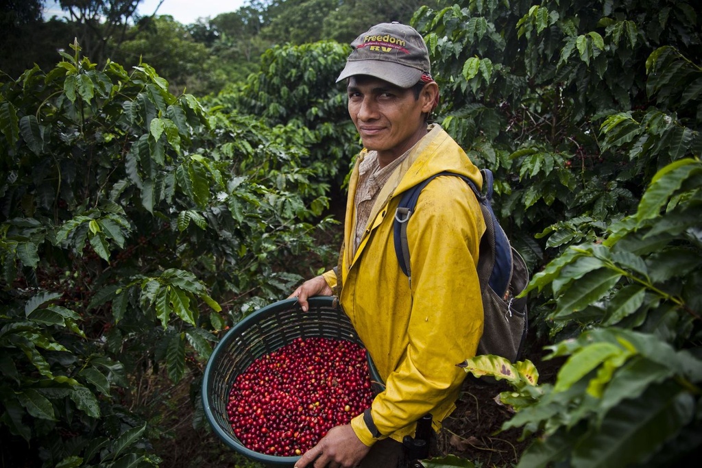 Hacienda Sonora in Alajuela, Costa Rica