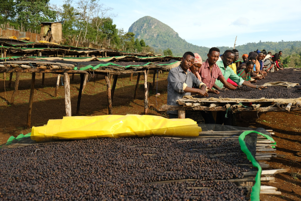 Ethiopië Okoluu Guji 250g