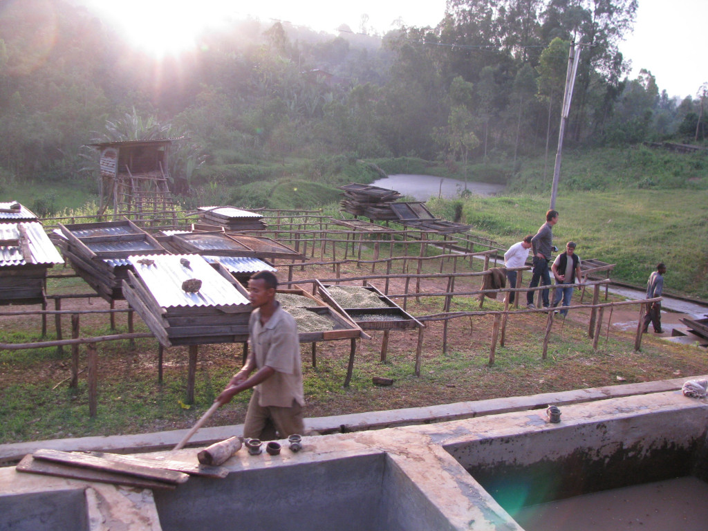 Ethiopië Okoluu Guji 1kg