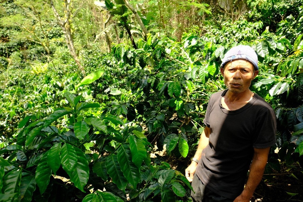 Sumatra Sesongot 1kg