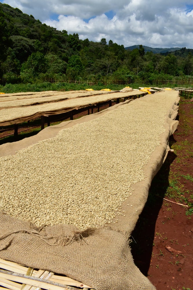 Ethiopië Aricha 1kg