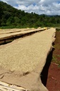 Ethiopië Aricha 250g