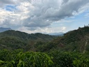Peru El Mirante 250g